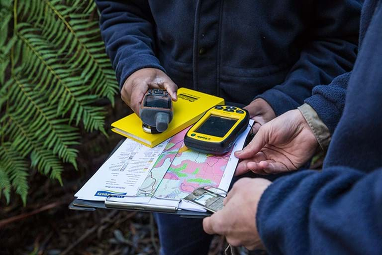 Forest Management Plan